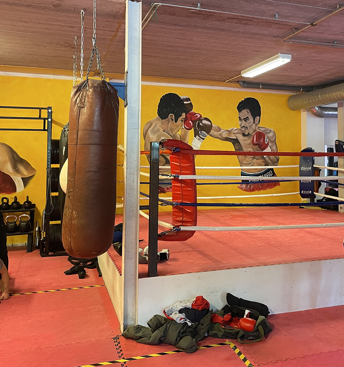  Boxing Matches by Jimmy’s Gym